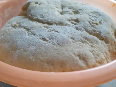 Salenjaci