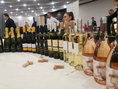 Sarajevo wine fest 2023