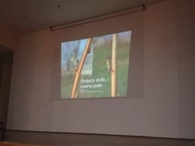 Savjetovanje malinara u Visokom