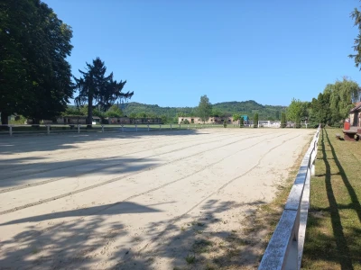 Savjetovanje uzgajivača konja