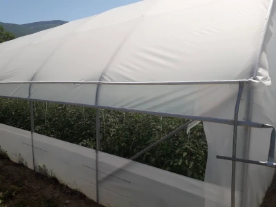 Senada Ljutić: Sve je poskupilo, a cijena jagode spala sa 3,5KM na 3KM