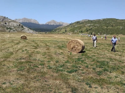 Šest Dan organske proizvodnje RS