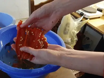 či&scaron;ćenje paprike