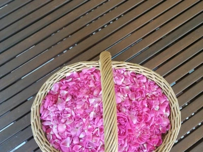 Tradicionalni sokovi Salkića
