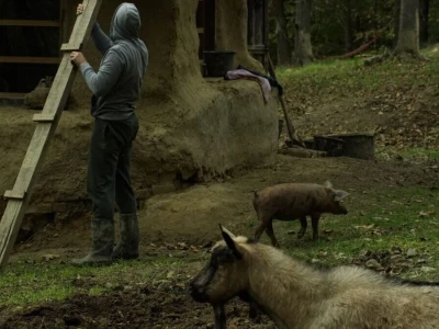 Shumska farma Nikole Borića