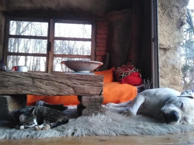 Shumska farma Nikole Borića