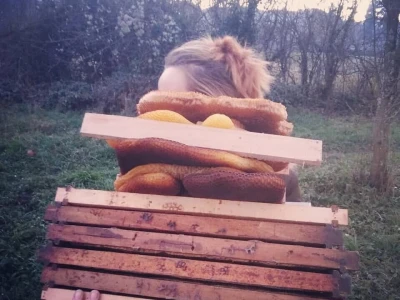 Shumska farma Nikole Borića