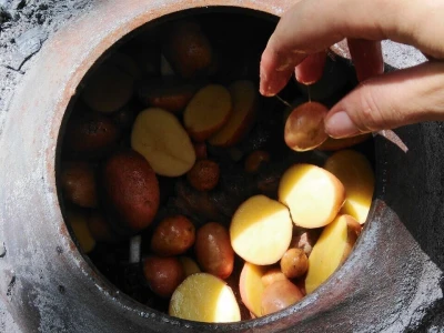 Shumska farma Nikole Borića