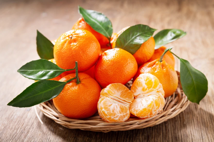 Projekt FoodFacts - citrusi