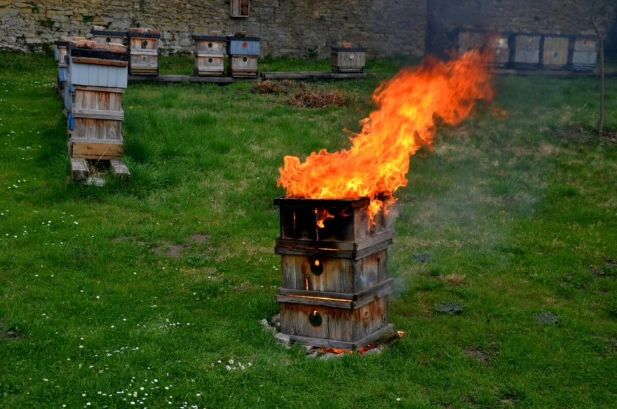 zapaljena ko&scaron;nica