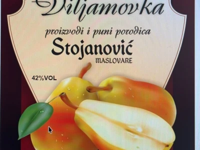 Silvana Stojanović