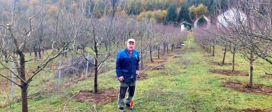 Simo Rakić