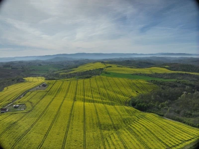 Sjteva i repica