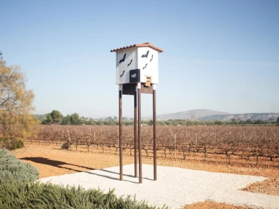 Slijepi miševi čuvaju vinograde od grožđanog moljca