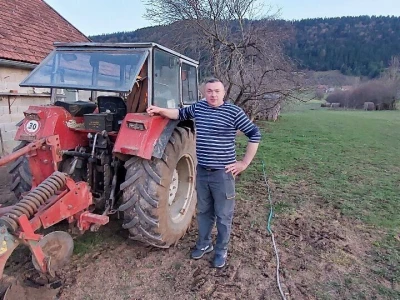 Šljiva u zasadu Dejana Kecmana