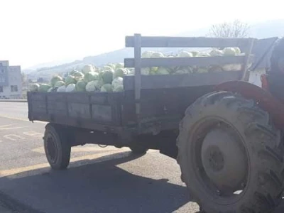 Slovneci iz srca Bosne: Kupus posadimo na rizik, niti znamo da li će biti dobar, ni da ćemo ga uspjeti prodati