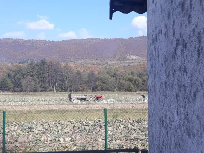 Slovneci iz srca Bosne: Kupus posadimo na rizik, niti znamo da li će biti dobar, ni da ćemo ga uspjeti prodati