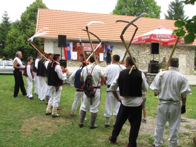 Smotra kosača