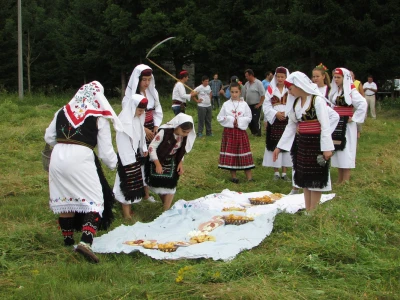 Ručak je stigao