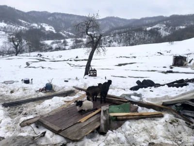 Snijeg srušio štalu u Simin Hanu