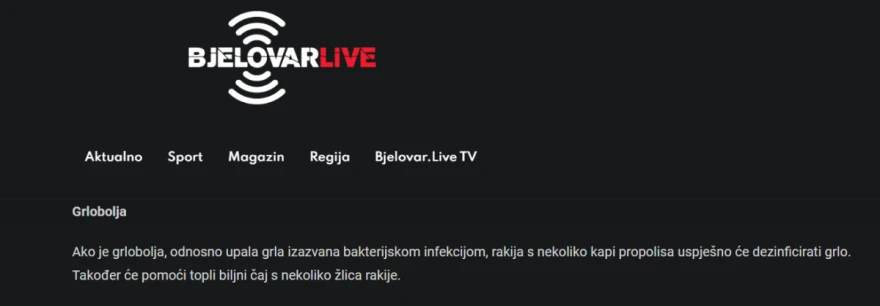 Screenshot portala bjelovar.live