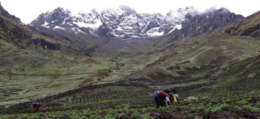 peru ande
