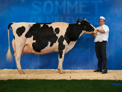 Sommet de l'Elevage