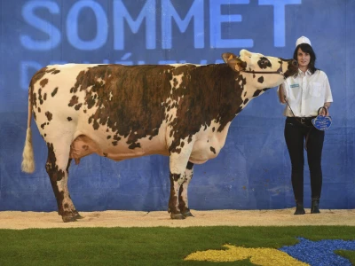 Sommet de l'Elevage