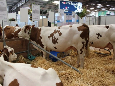 SPACE 2019 Rennes, Francuska
