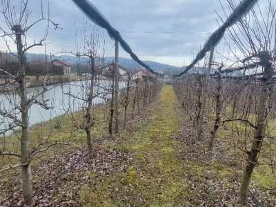 Šta čeka poljoprivrednike u ovoj godini?