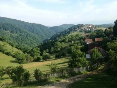 Šta je selo bez krava!?