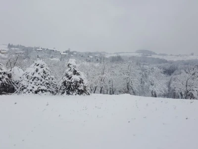 Stado Dragoslava Zivkovica iz Zelenaca na Manjaci