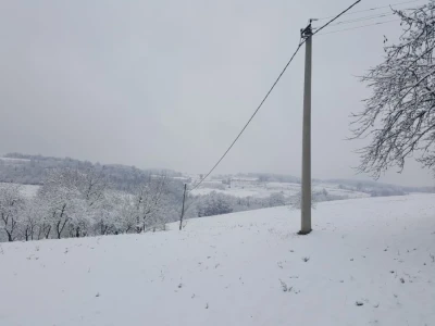 Stado Dragoslava Zivkovica iz Zelenaca na Manjaci