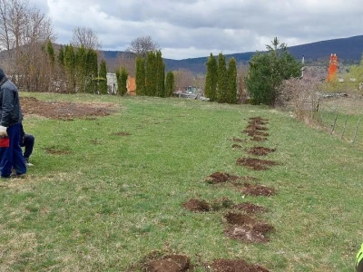 Stajnjak