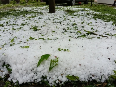Šteta od grada u ataru sela Mali Beograd 14.06.2026.