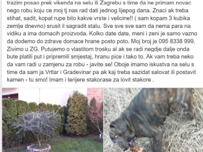 Štiham, gradim, sadim, ali umjesto novca, želim domaću hranu
