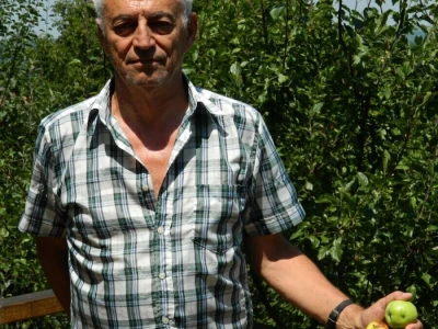 Stoljetna jabuka kao uspomena na pretke