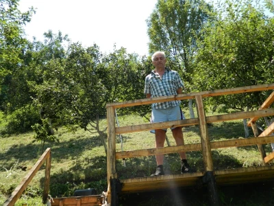 Stoljetna jabuka kao uspomena na pretke