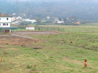 Stradala poljoprivredna imanja u Hercegovini