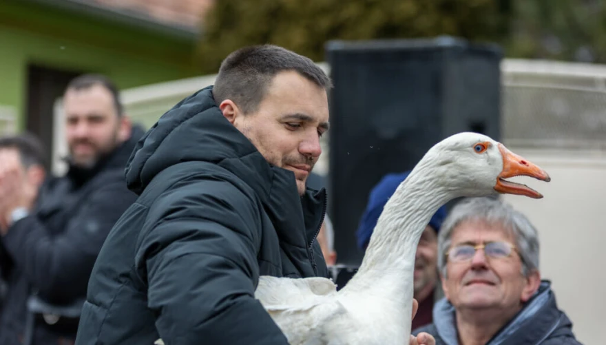 čovjek drži gusana