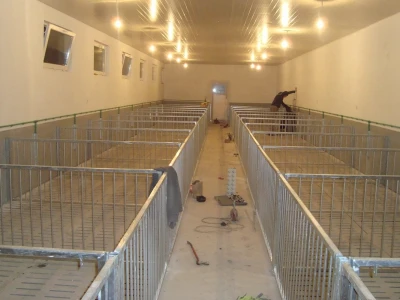 Svinjogojska farma Dropulja