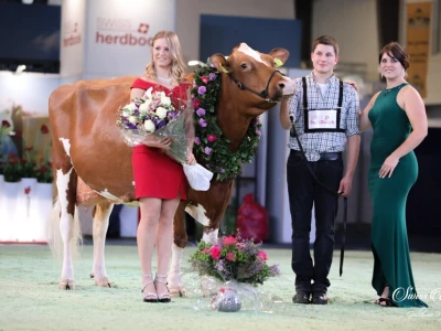 Swiss Expo