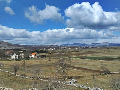 Tomislavgrad jedan od najvećih proizvođača kravljeg mlijeka u FBiH