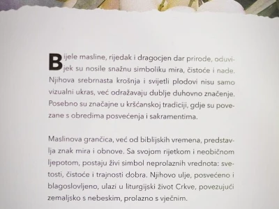 U Bijelom polju časne sestre franjevke posadile 33 bijele masline!