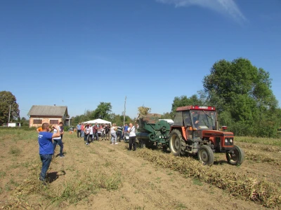 U Kozarskoj Dubici održani dani pasulja