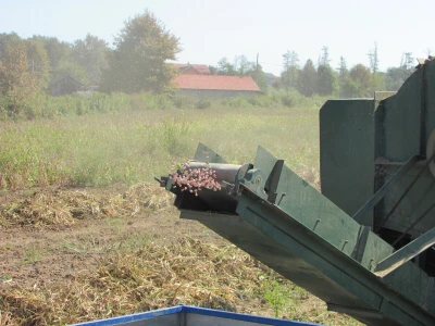 U Kozarskoj Dubici održani dani pasulja