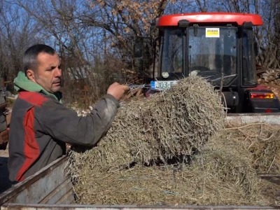 U krajoliku Bogom danom za koze i raštiku svi jedu k'o u matere