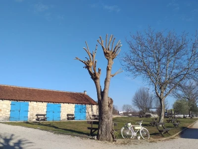 U krajoliku Bogom danom za koze i raštiku svi jedu k'o u matere