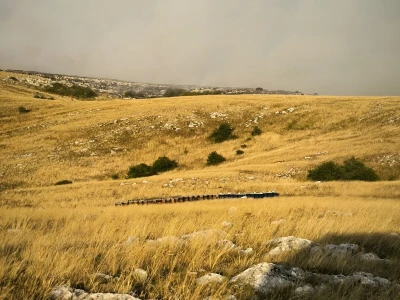 U požaru na Ljubuši izgorjele desetine košnica