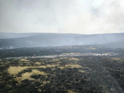 U požaru na Ljubuši izgorjele desetine košnica